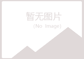 安图县白山木材有限公司